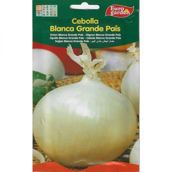 Euro Garden Large Country White Onion