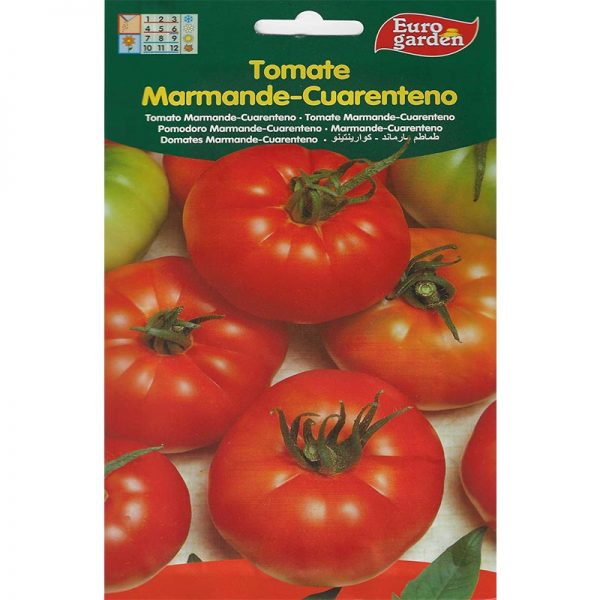 Euro Garden Tomato Marmande