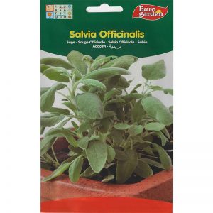 Euro Garden Salvia Officinalis