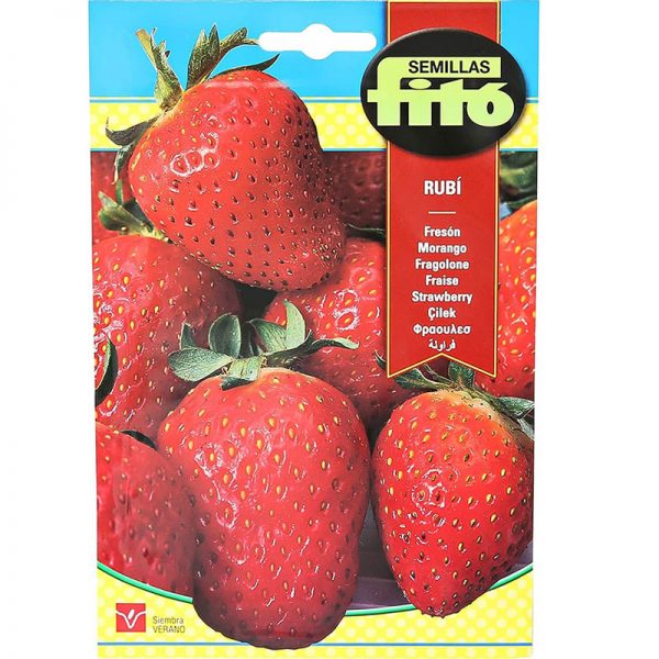 Fito Ruby Strawberry Premium Quality Seeds