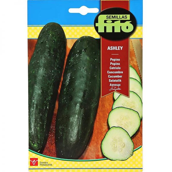 Fito Cucumber Ashley Premium Quality Seeds