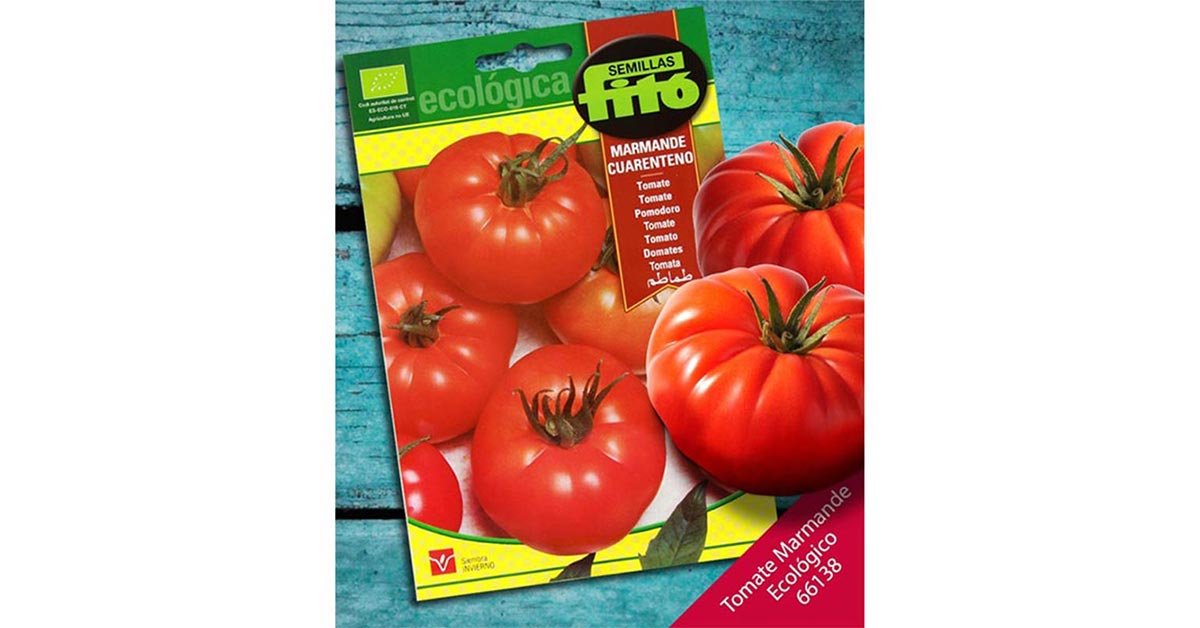 Tres Cantos Beefsteak Tomato Seeds