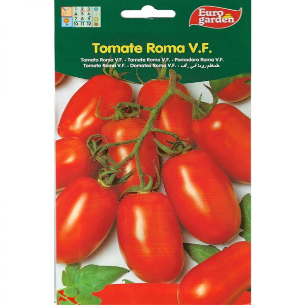Euro Garden Tomato Roma V.F Premium Quality Seeds