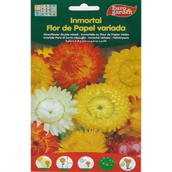 Euro Garden Sunflower Double Mix Premium Quality Seeds