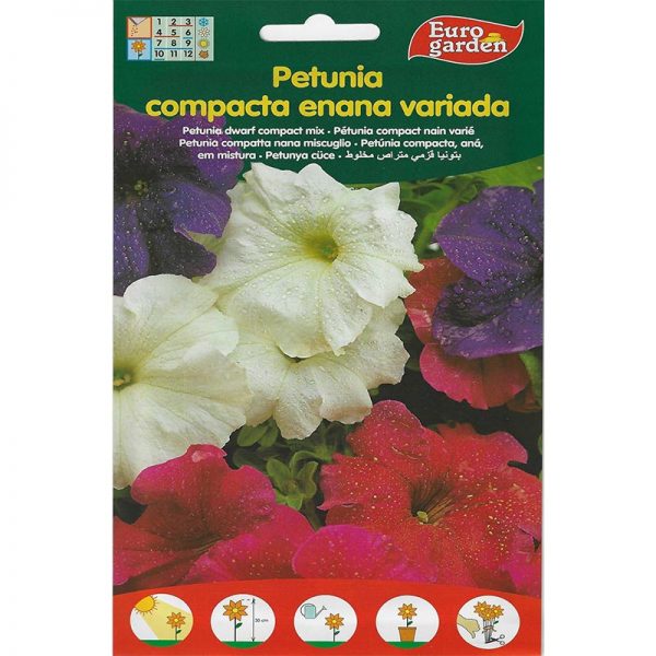 Euro Garden Petunia Dwarf Compact Mix Premium Quality Seeds