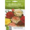 Hortus Carnation Premium Quality Seeds
