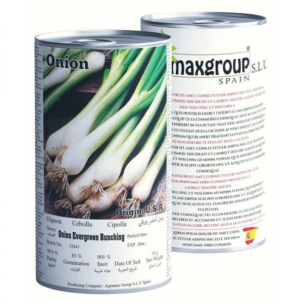 Agrimax Onion Evergreen Bunching Premium Quality Seeds (Made in Spain) by AgrimaxgroupÂ®